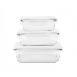 Lot 3 Boîtes De Conservation En Verre Rectangle Pebbly